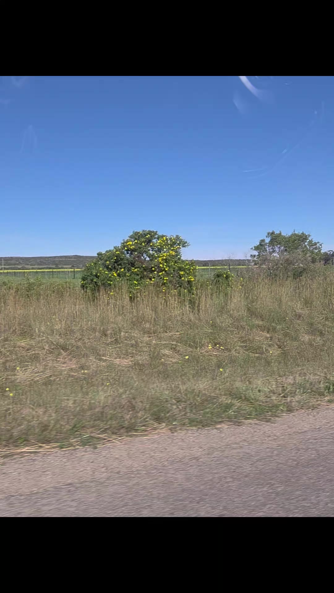 @Melissa St1kamp🇿🇦