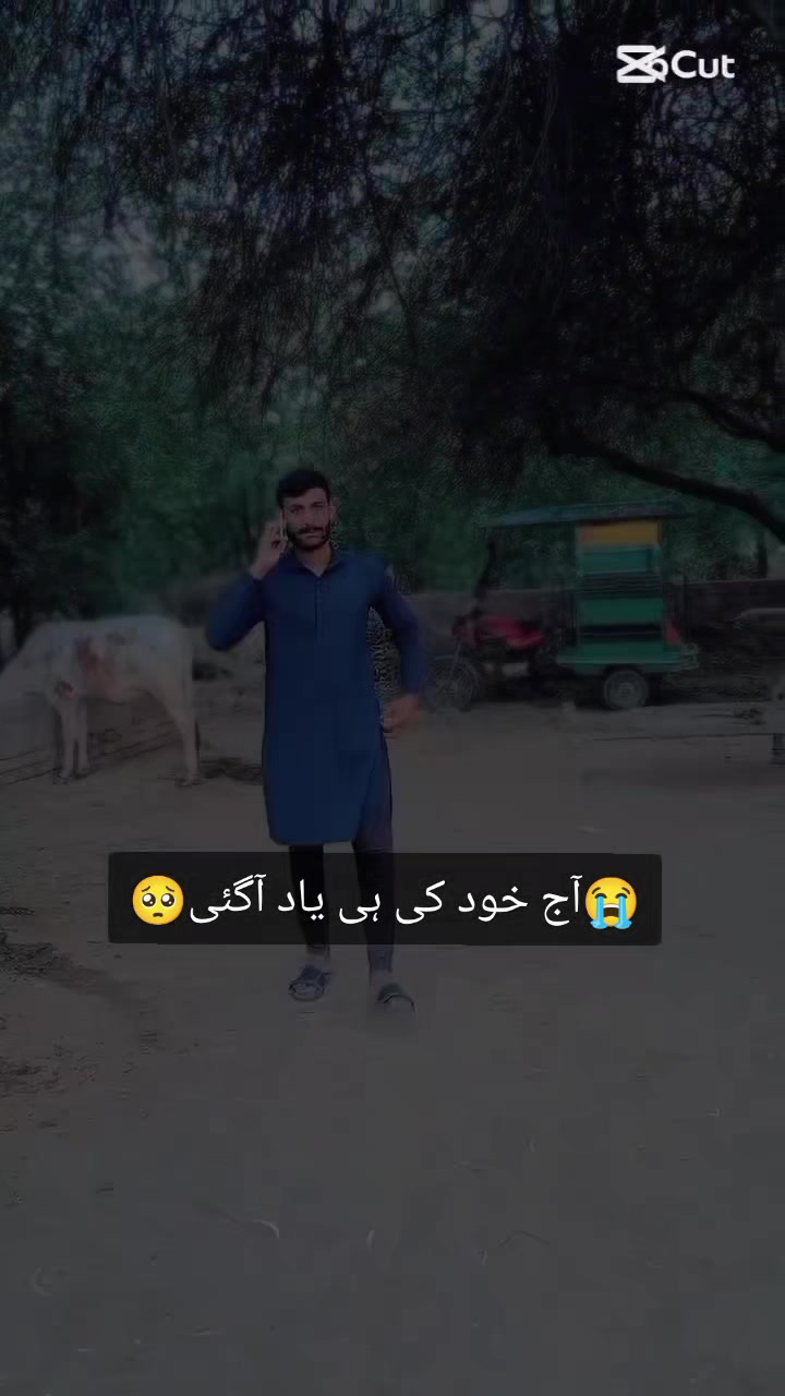 @zoman201
