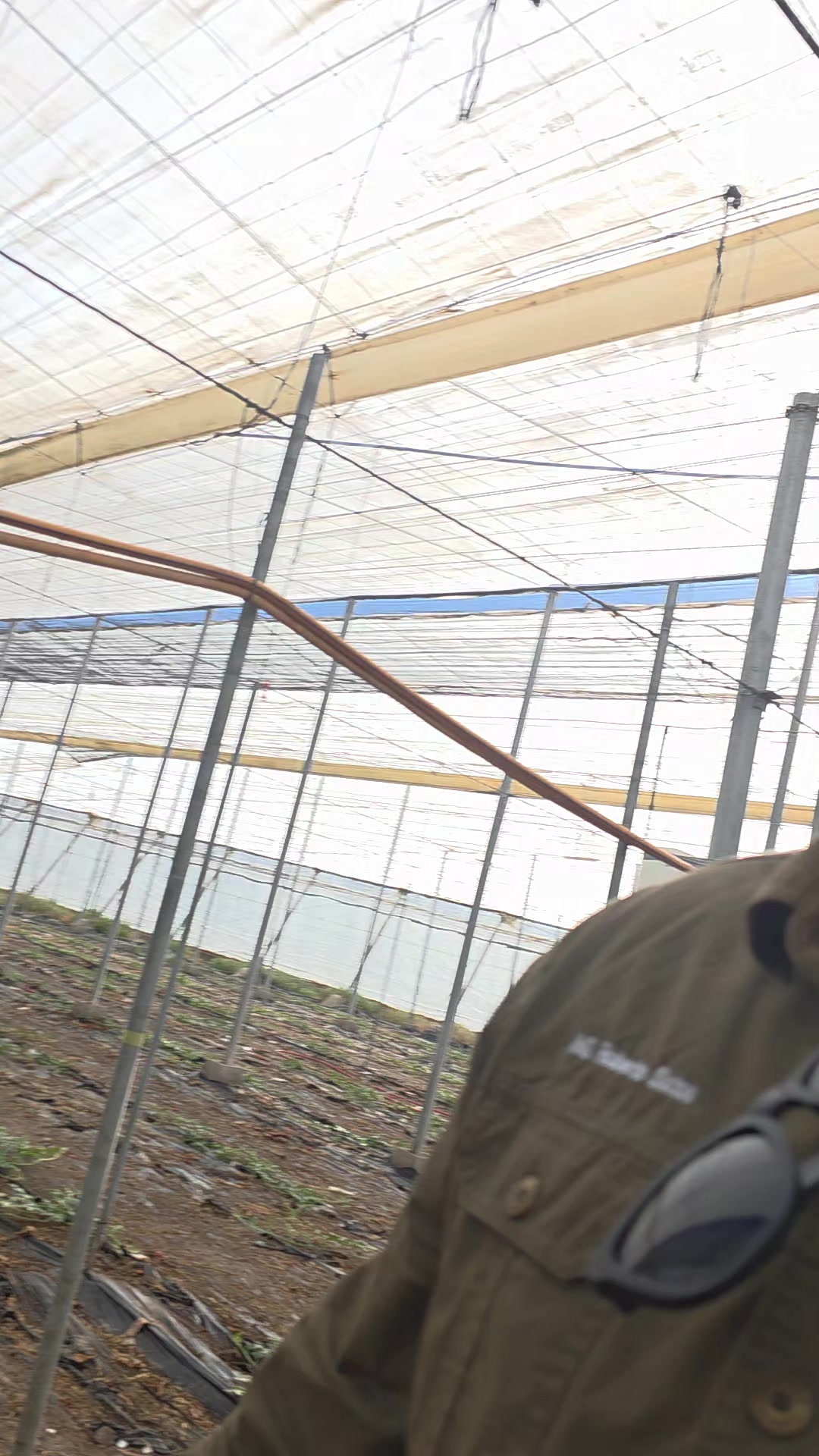 @El Extensionista del Agro