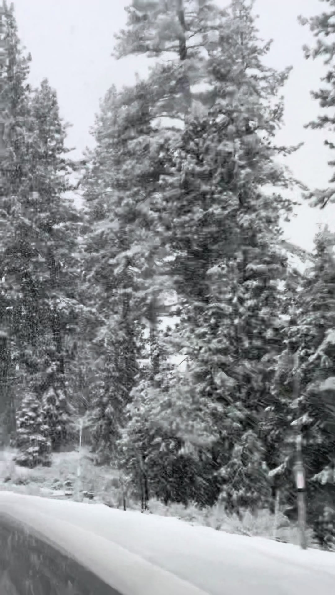 @tahoe_caluph_usa