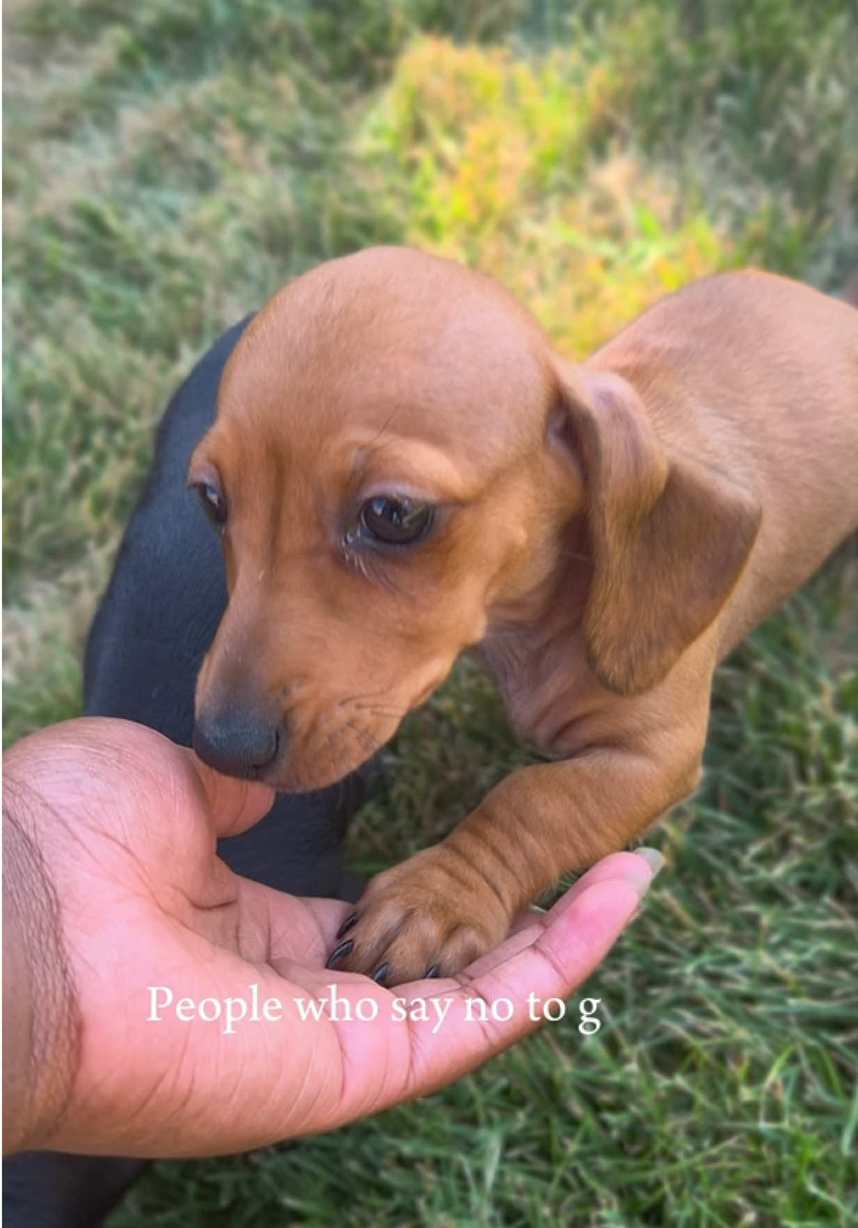 @Petland Oklahoma City