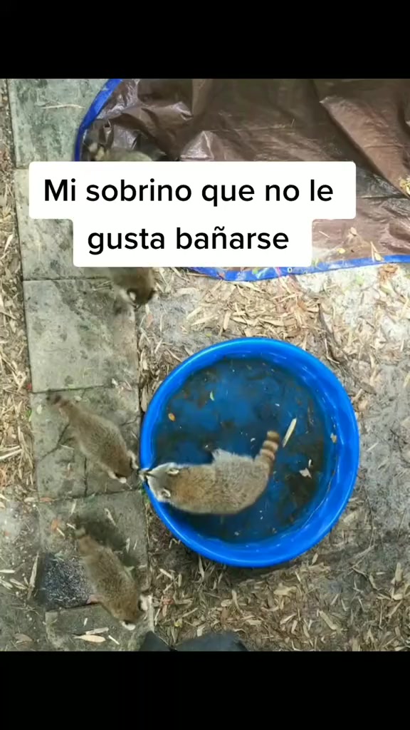 @Cereza🍒