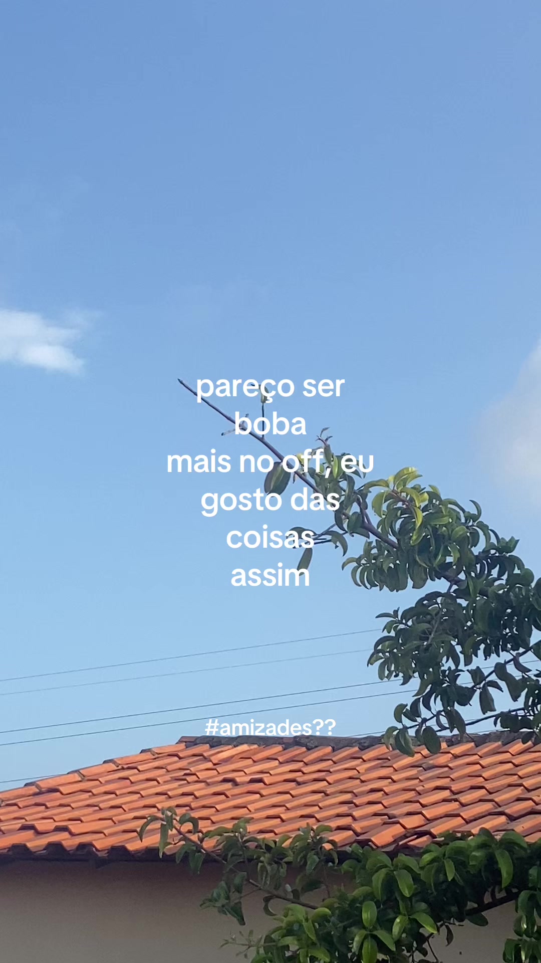 @manuelaypriv