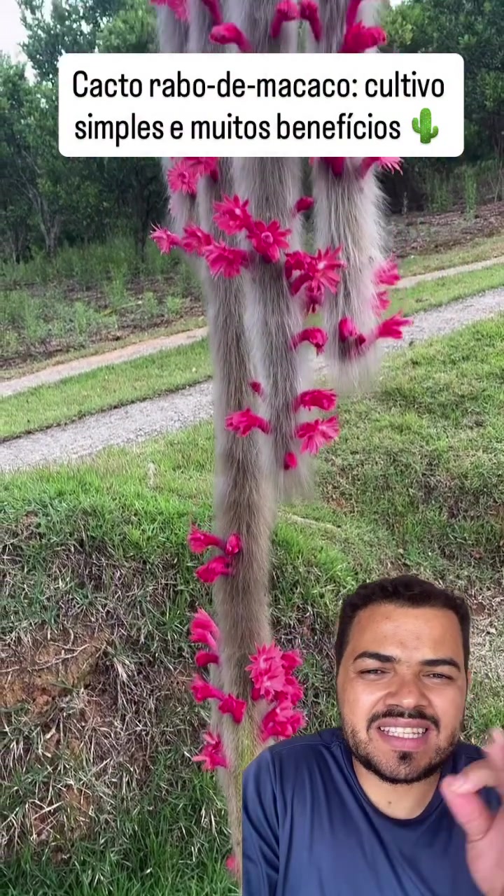 @Obrasilense