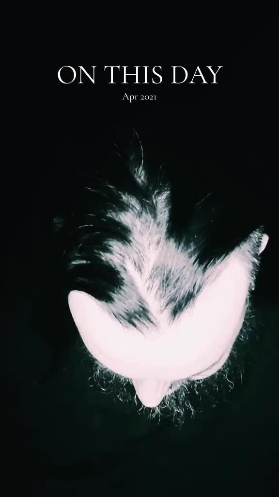 @Talldarkandblueeyed