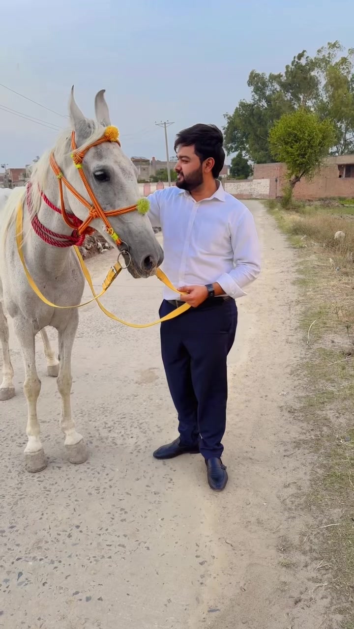@Rana Bilal Ejaz 👑