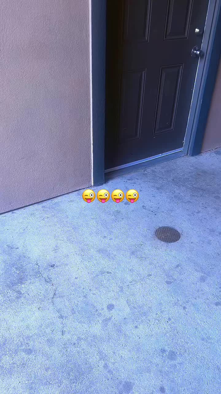 @🌴👑TikTok kynnngvibetv👑🌴