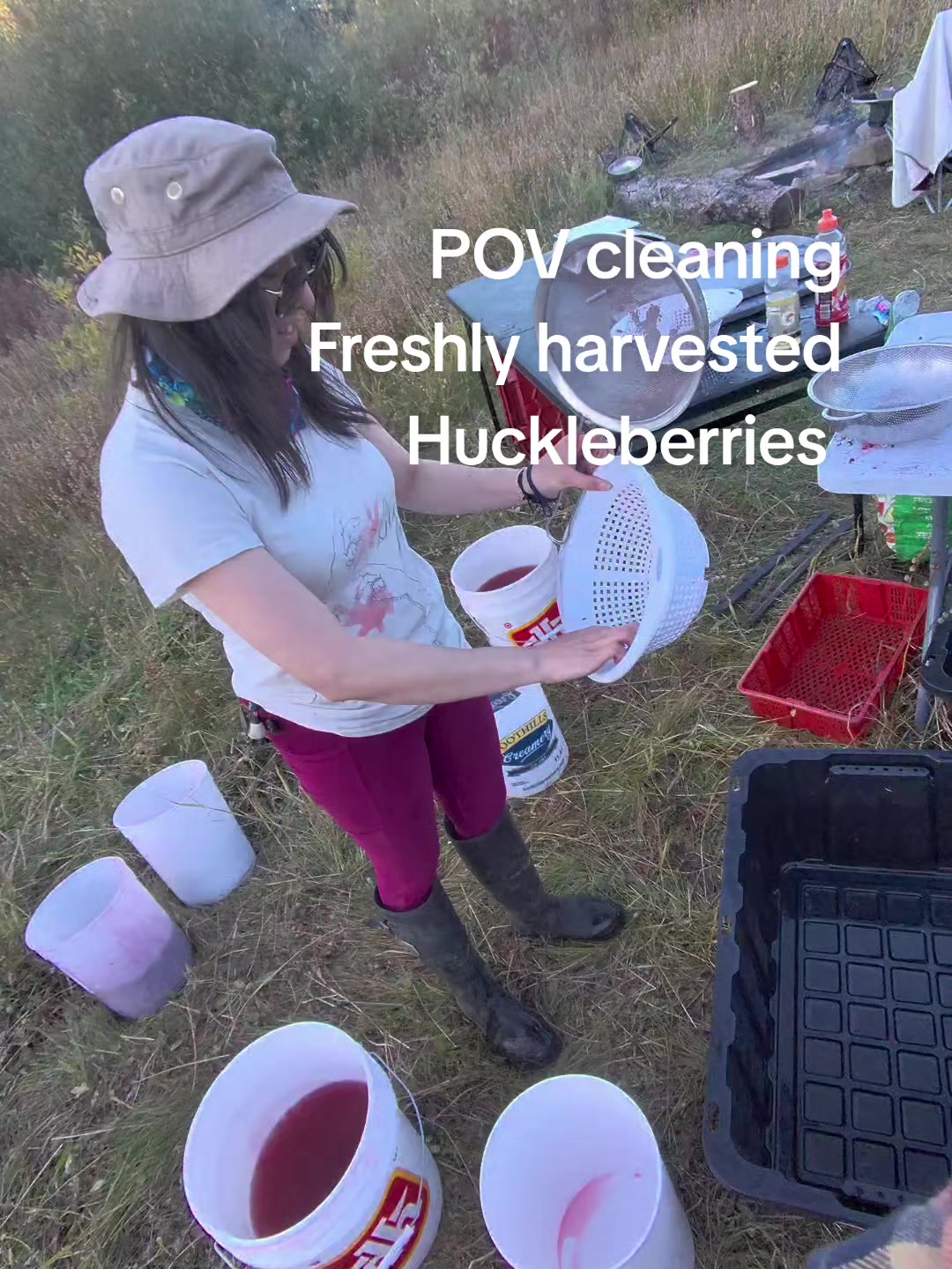 @pvforagers