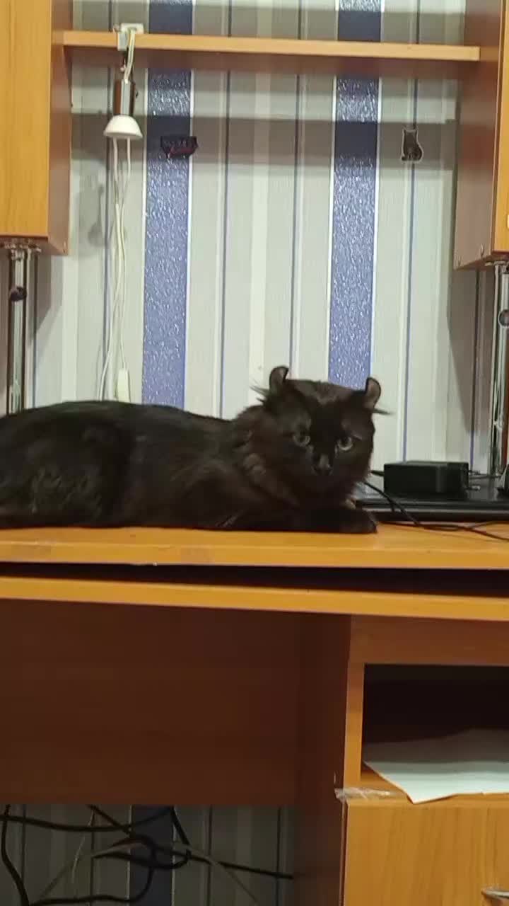 @꧁♡Танюхха♡꧂
