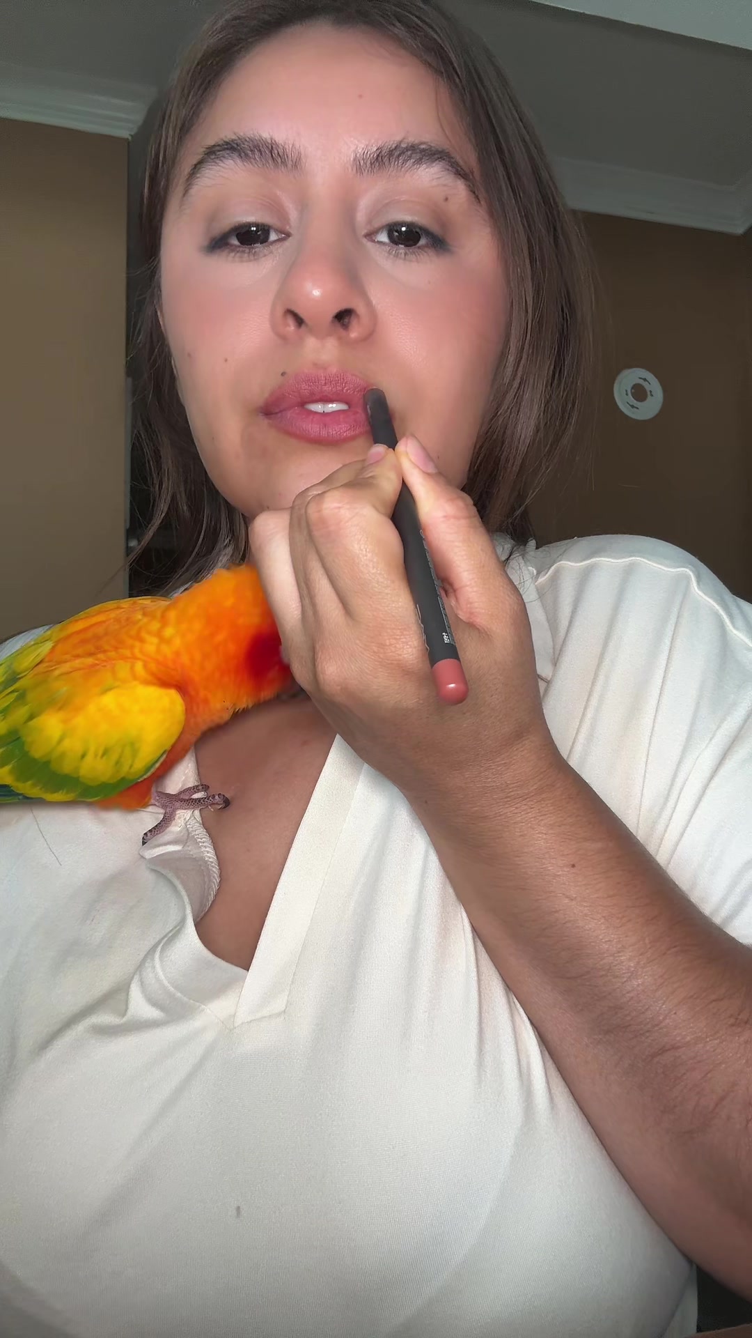 @vanessacampos880