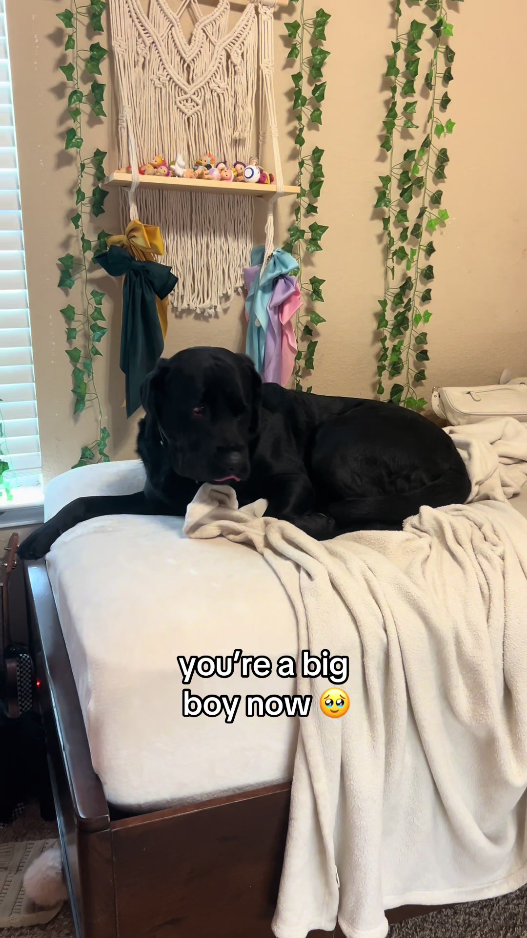 @sky