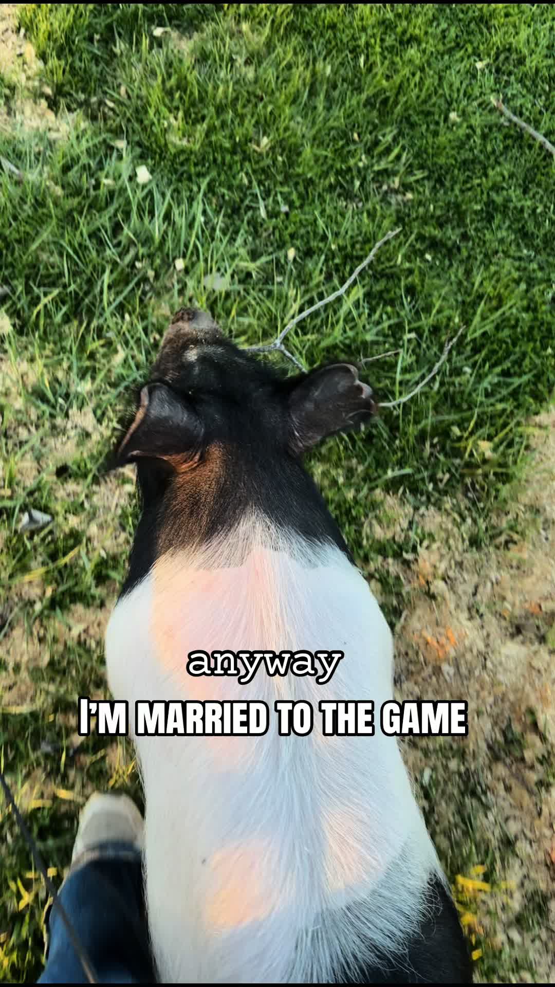 @laneyyy