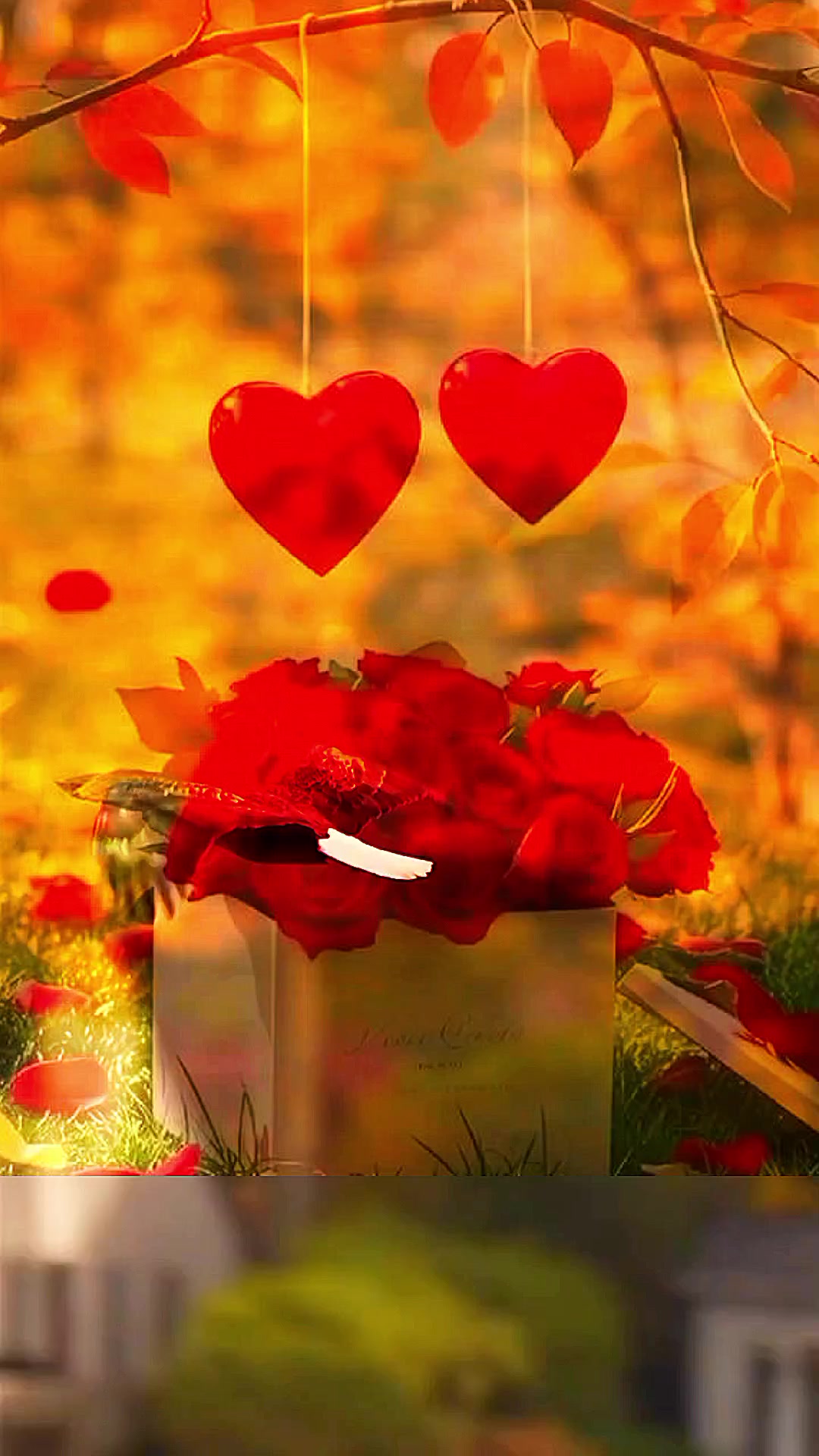 @canab  bintu  xasan 💖🩵🌹💯🐎