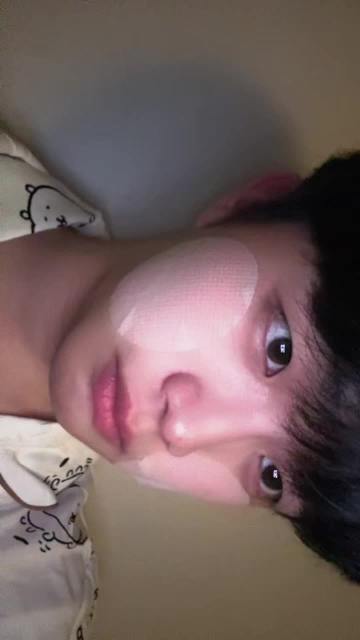 @고양이여덟마리키우는사람