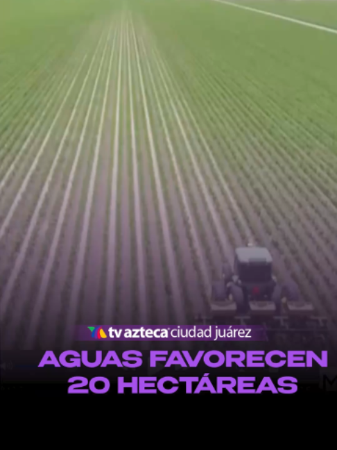 @TvAztecaCiudadJu&aacute;rez