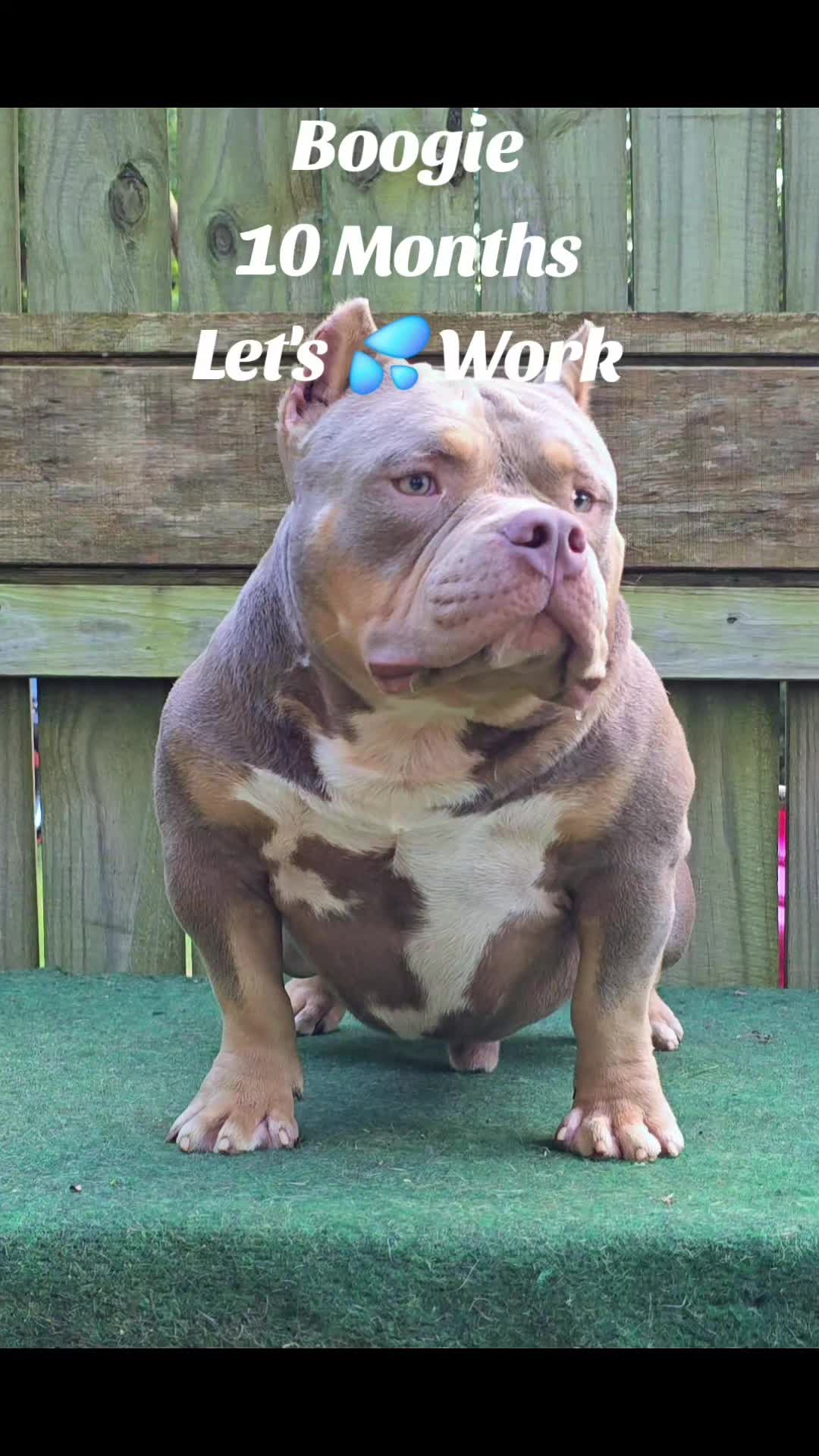 @EClassBullys
