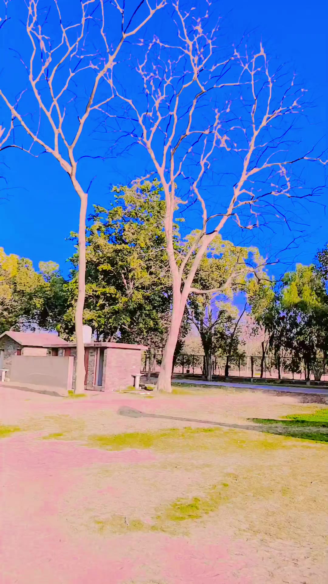 @Salamat Ali Khokhar