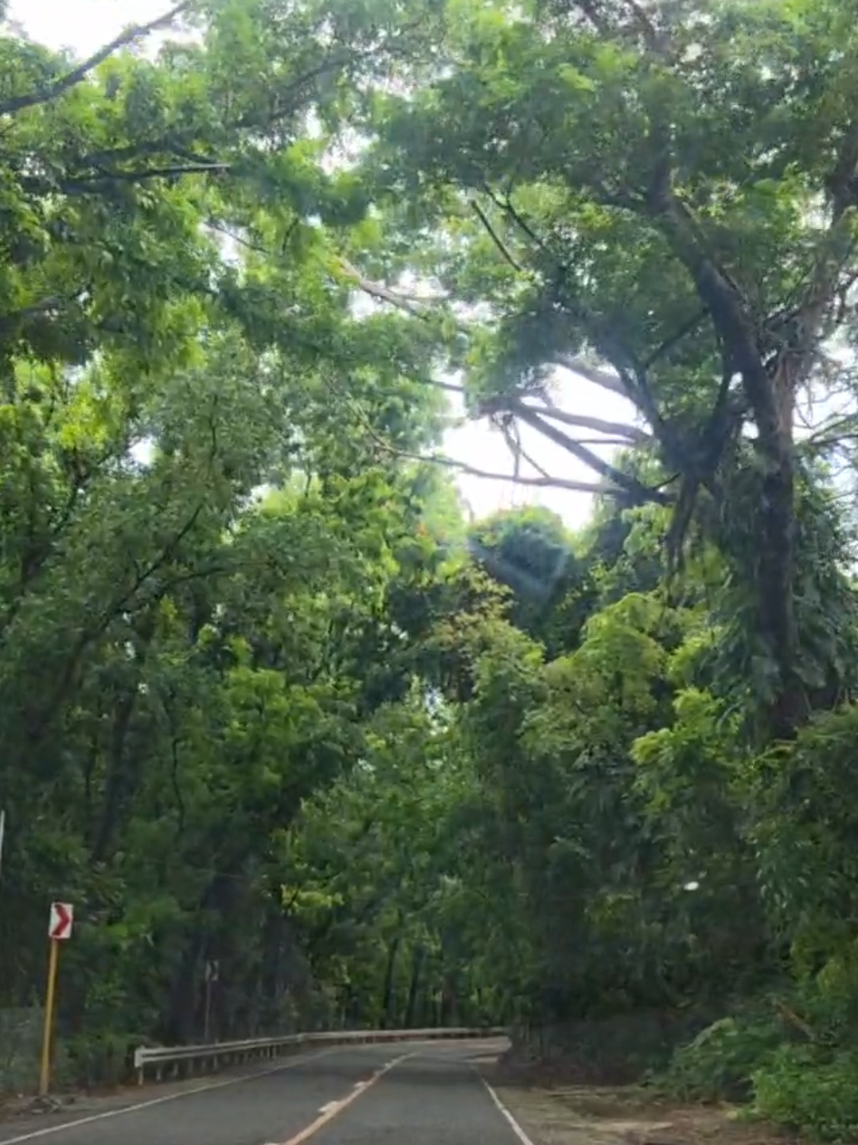 @Pau