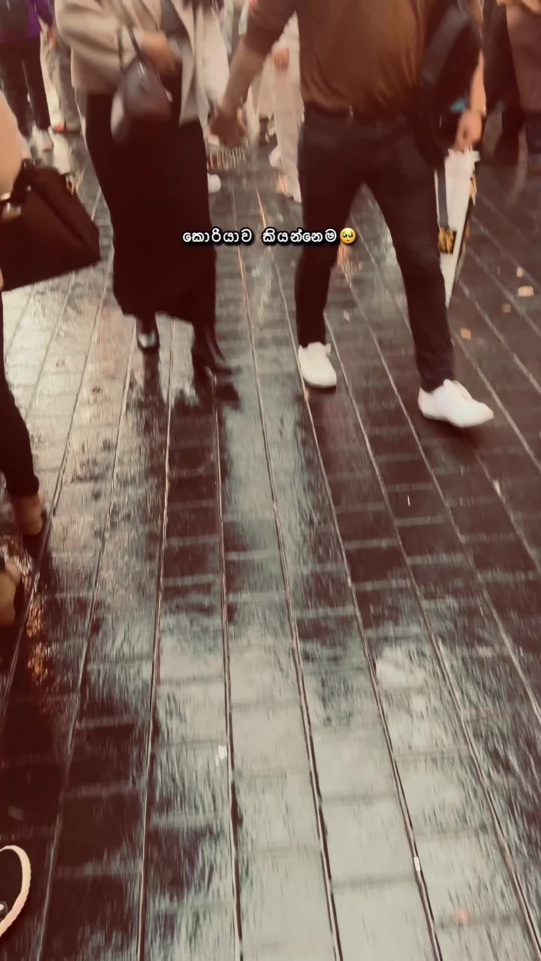 @Chamiya🇰🇷🇱🇰