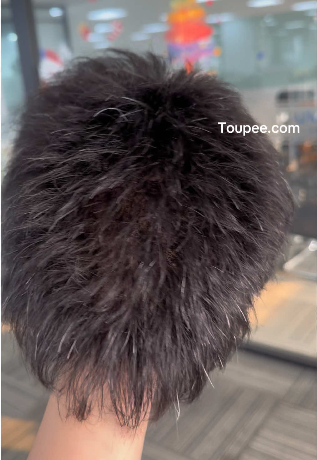 @Toupee.com