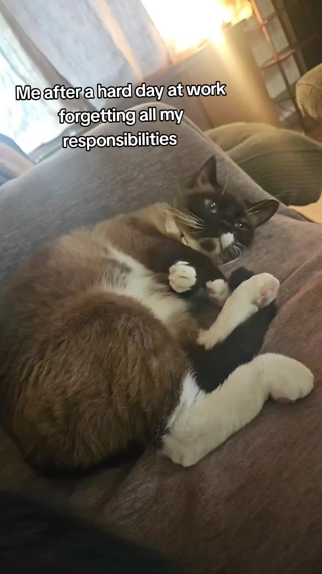 @Vader, Rocko, & Kona