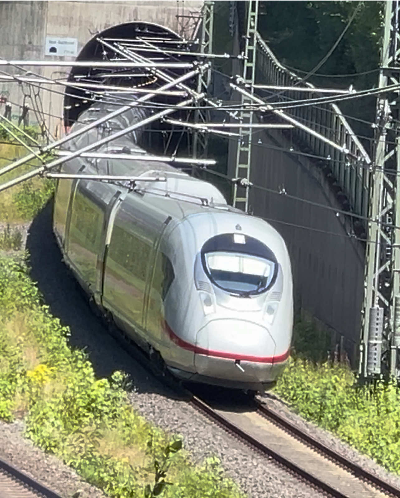 @ZW•NRW🇩🇪🦦