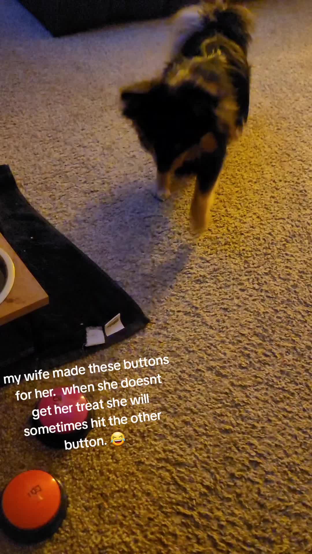 @theallnew