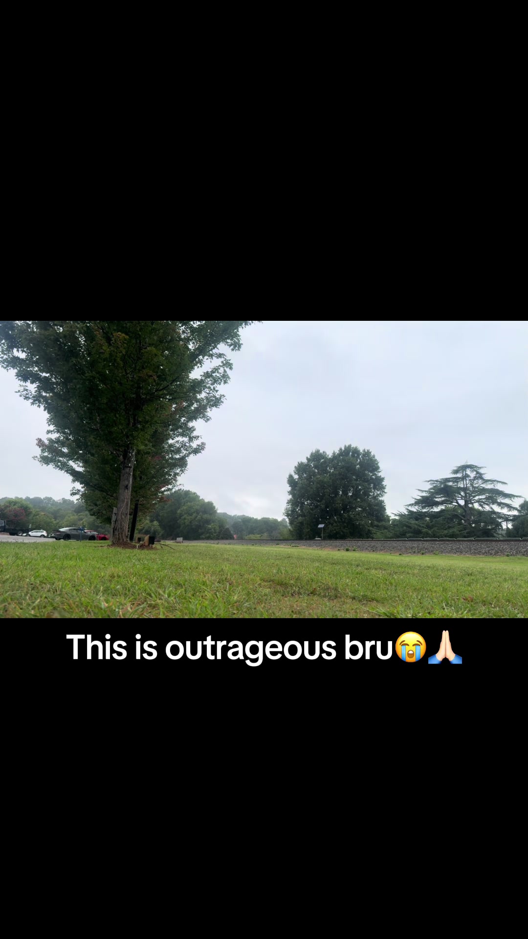 @mustard.railfan6767