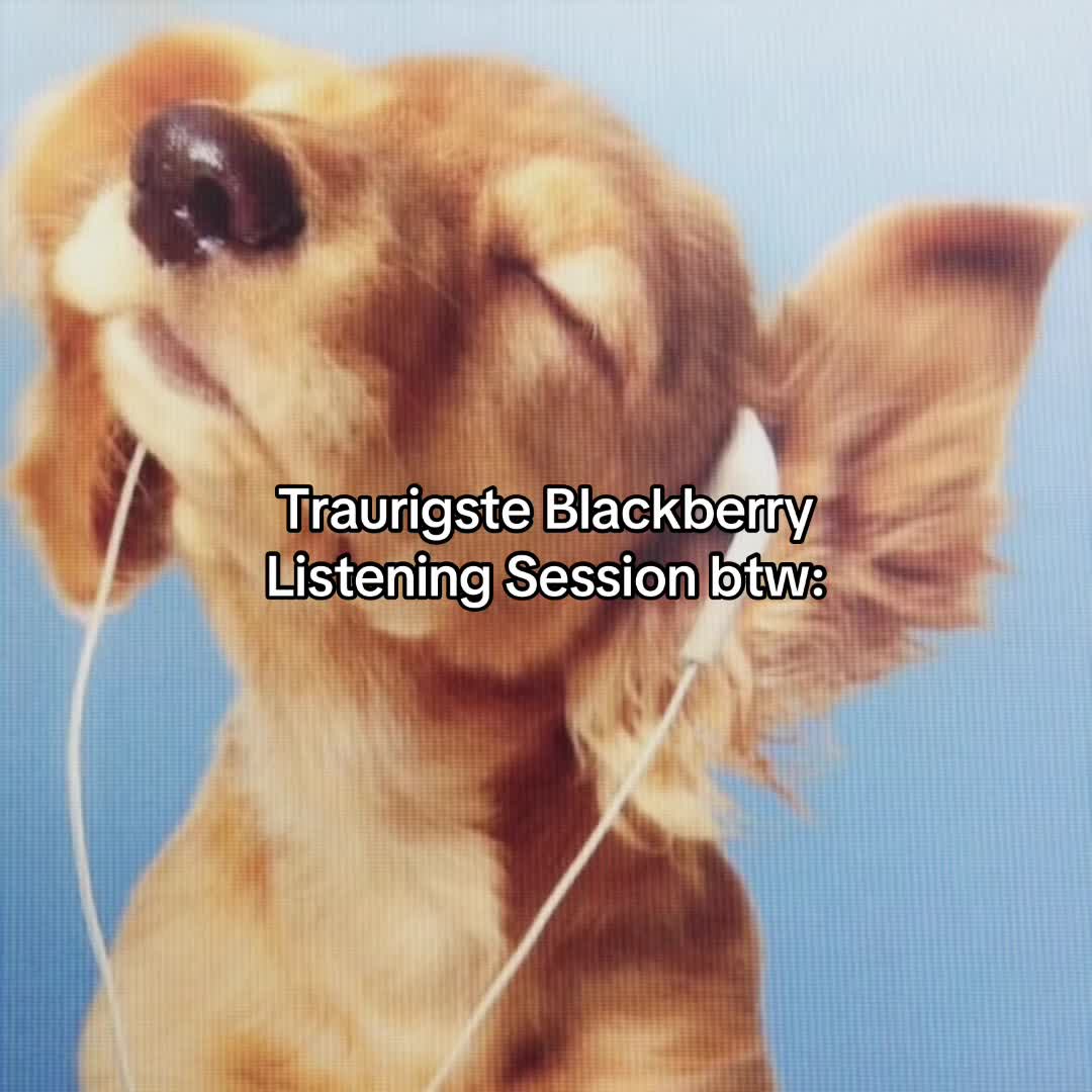 @rinrelated