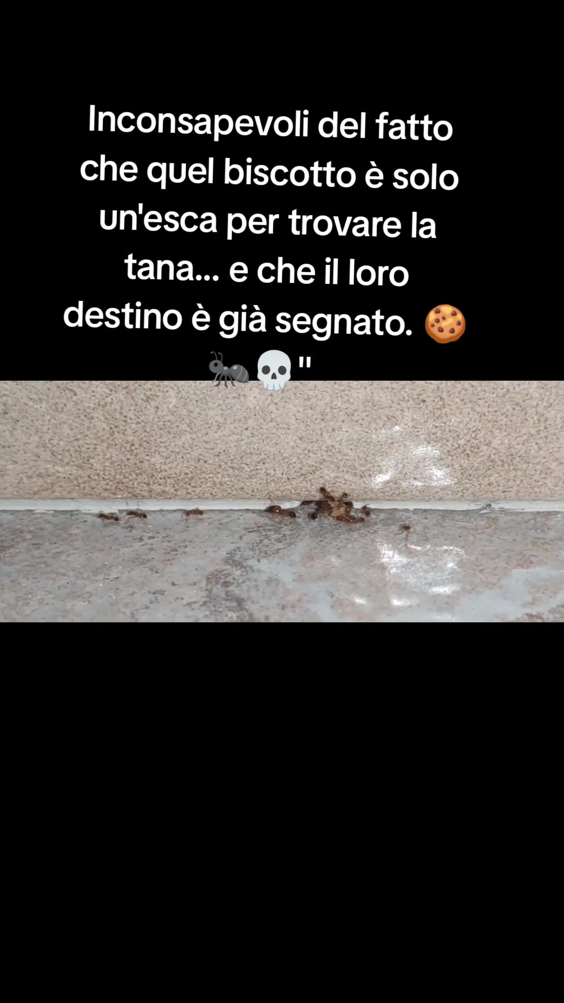 @Anto..Nathan