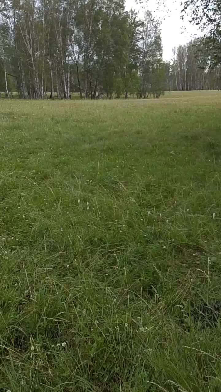 @дед Максим