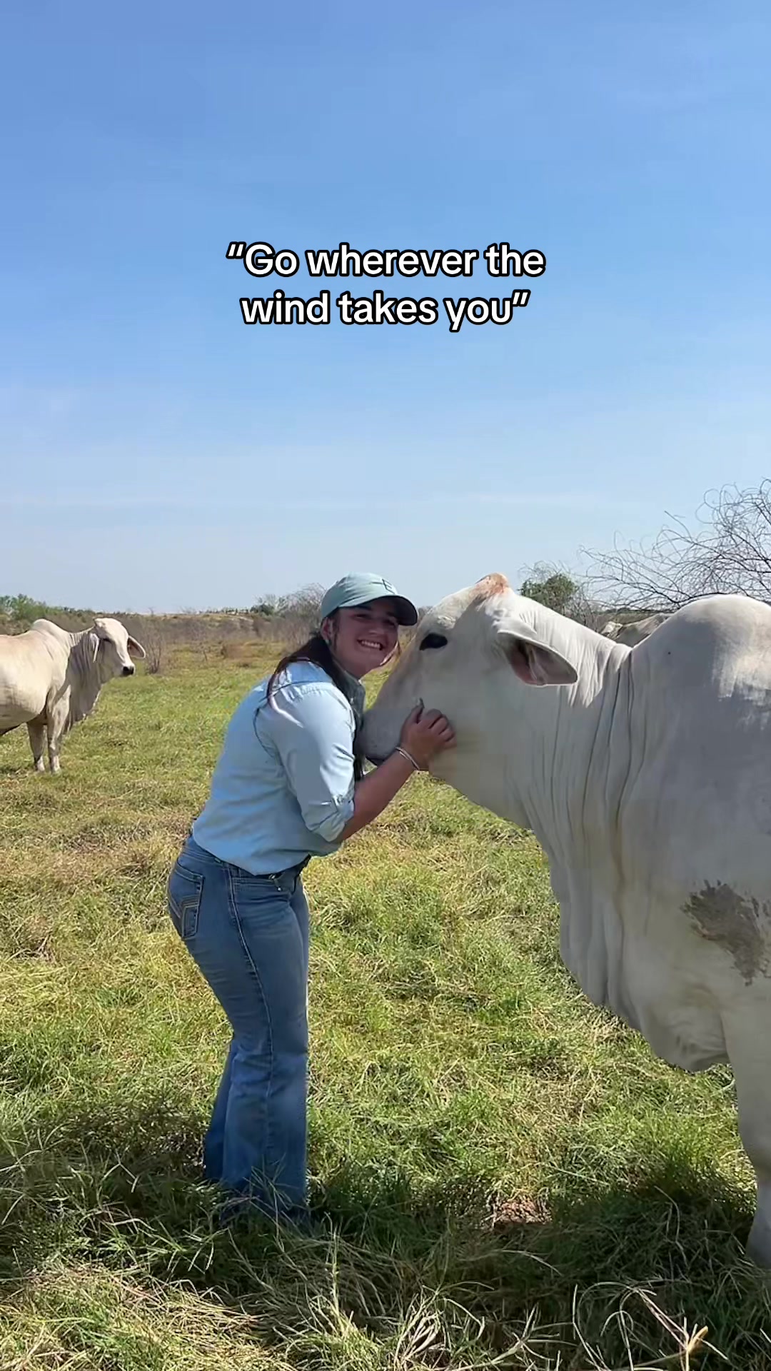 @England Cattle Co.