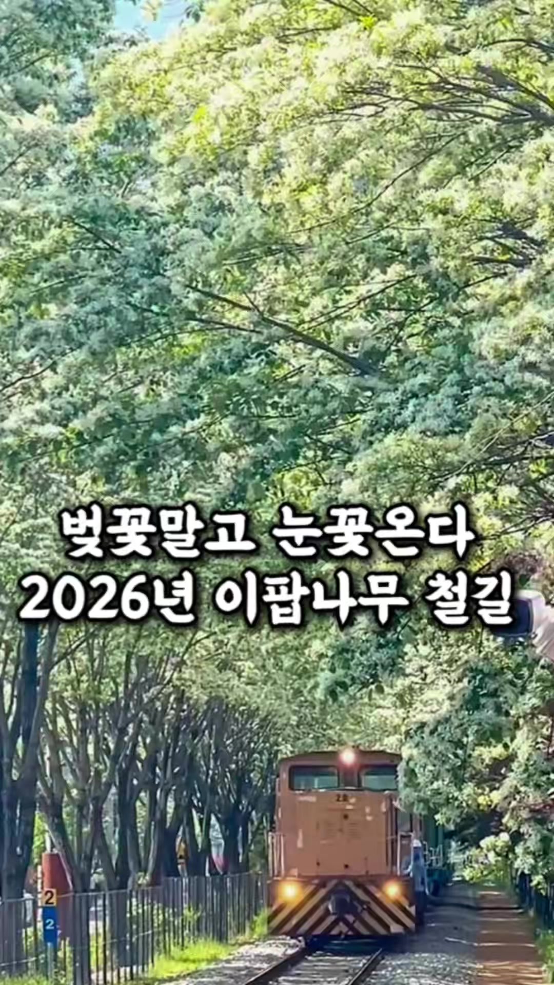@전주맛집수기