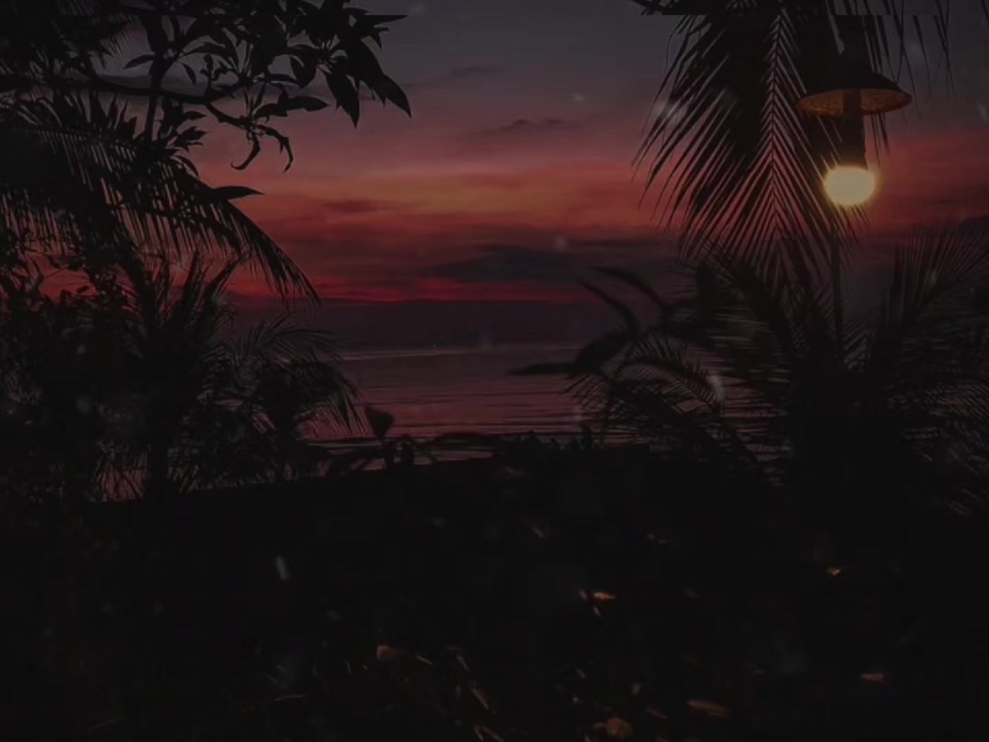 @SearchVibe.music