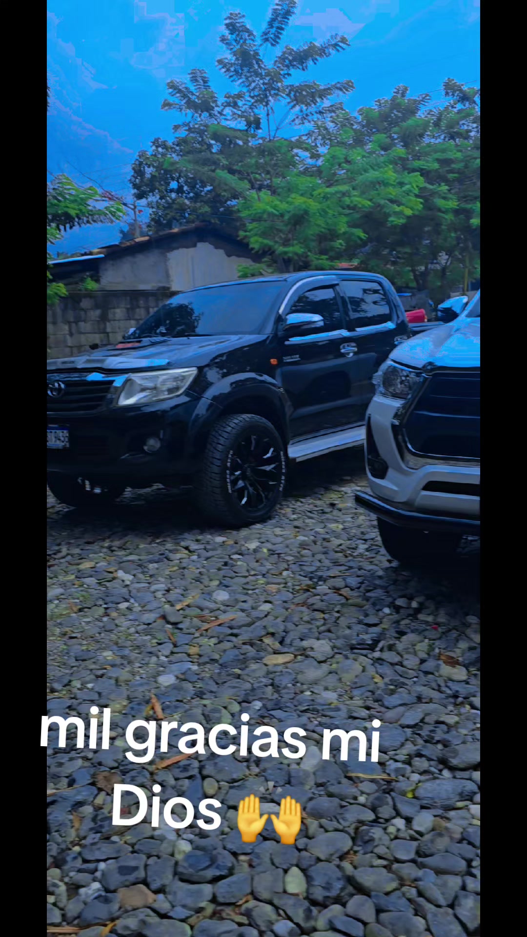 @Richar frutas 🥰el oficial