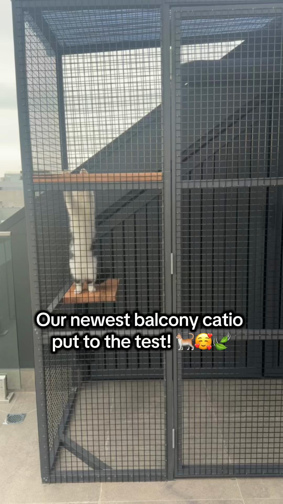 @Backyard Catio Builder