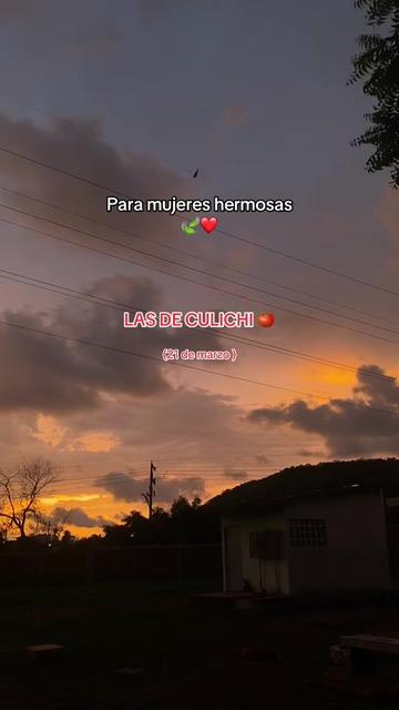 @sigiloso006
