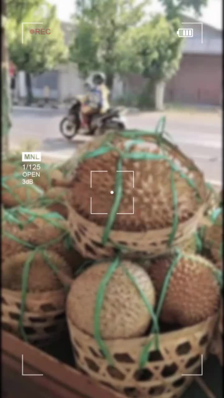 @Kenzhi Durian Tuban