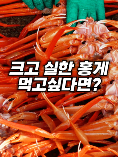 @싱싱헌터스