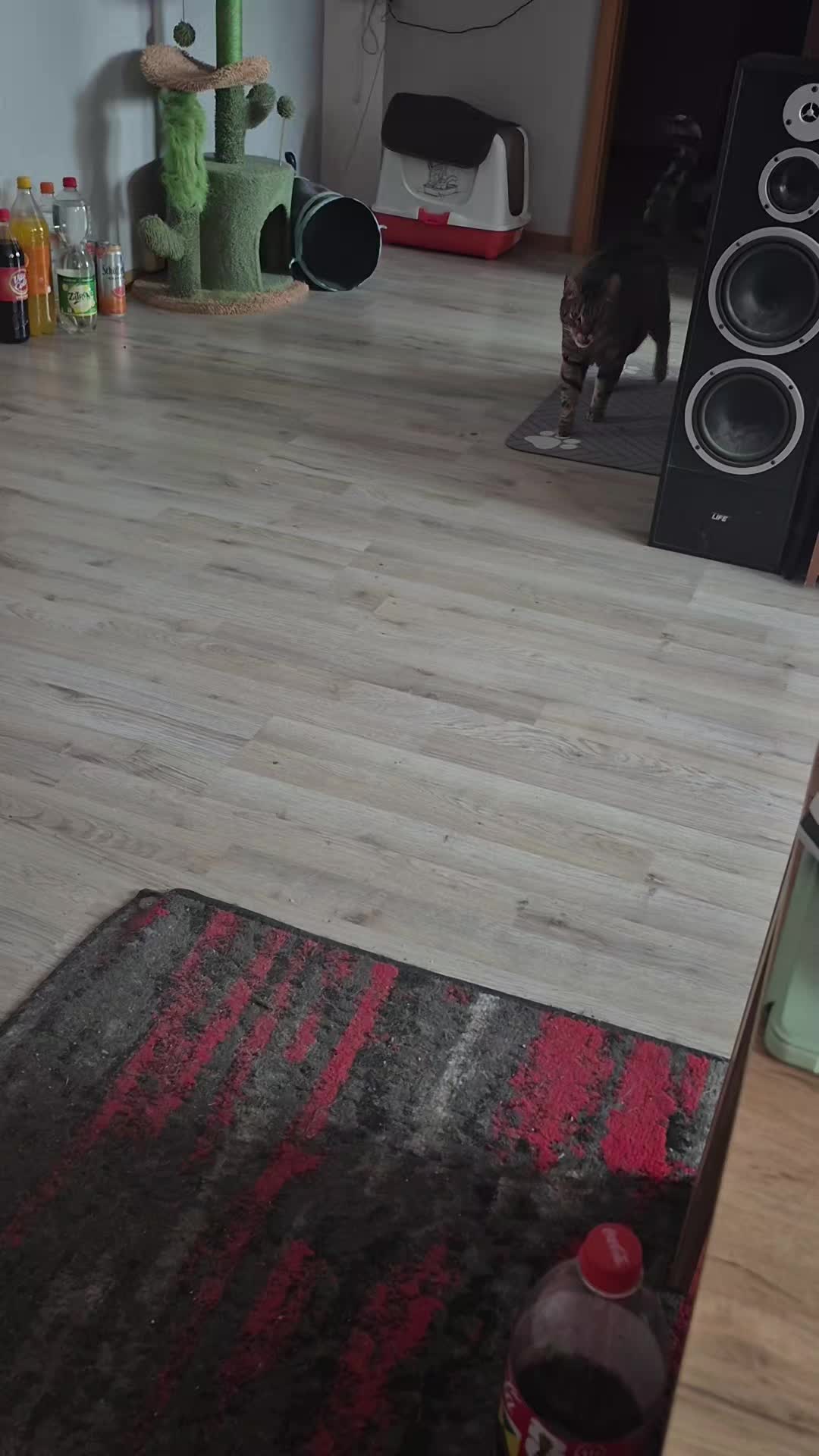 @ClaudiaP