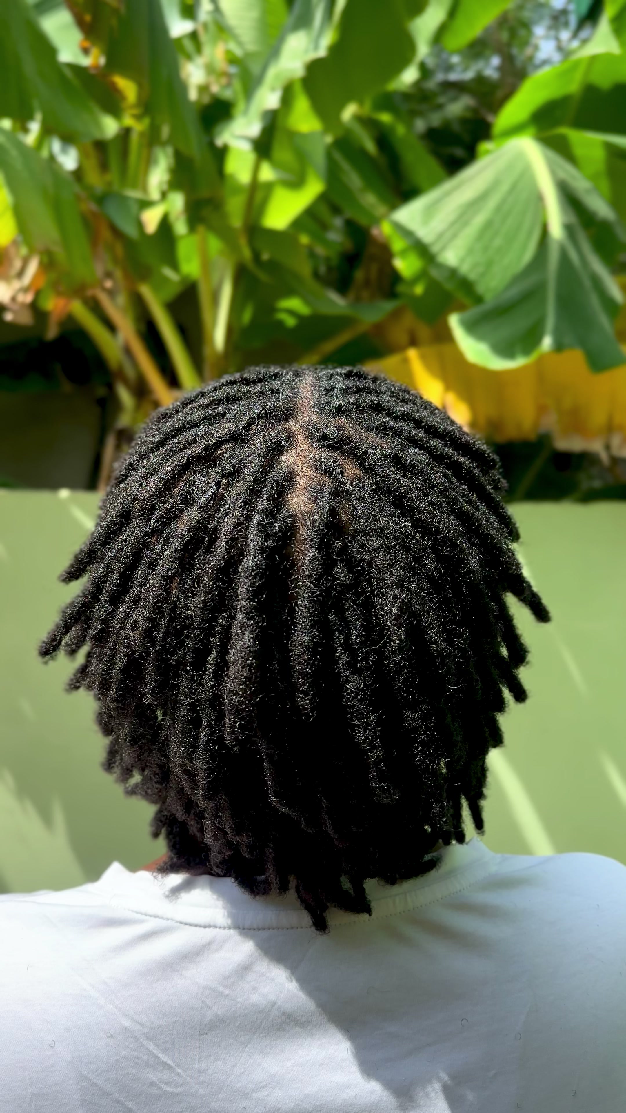 @New Status locs and cut🏝️