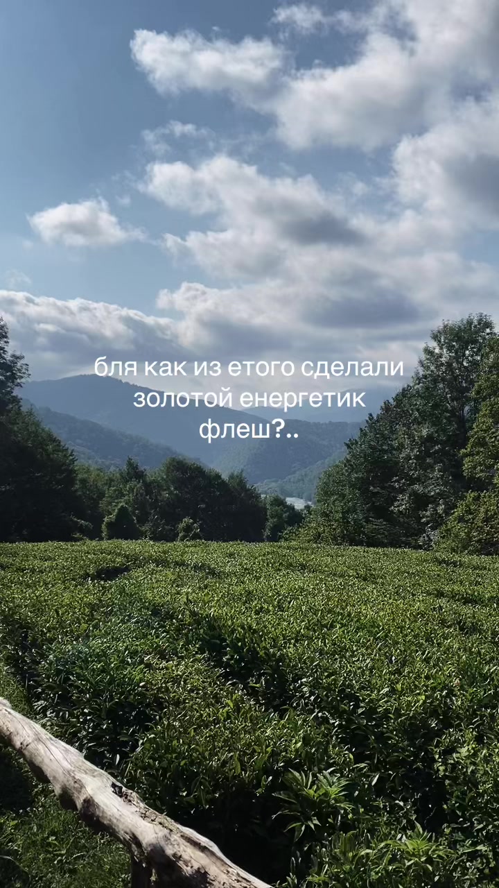 @brokolsha