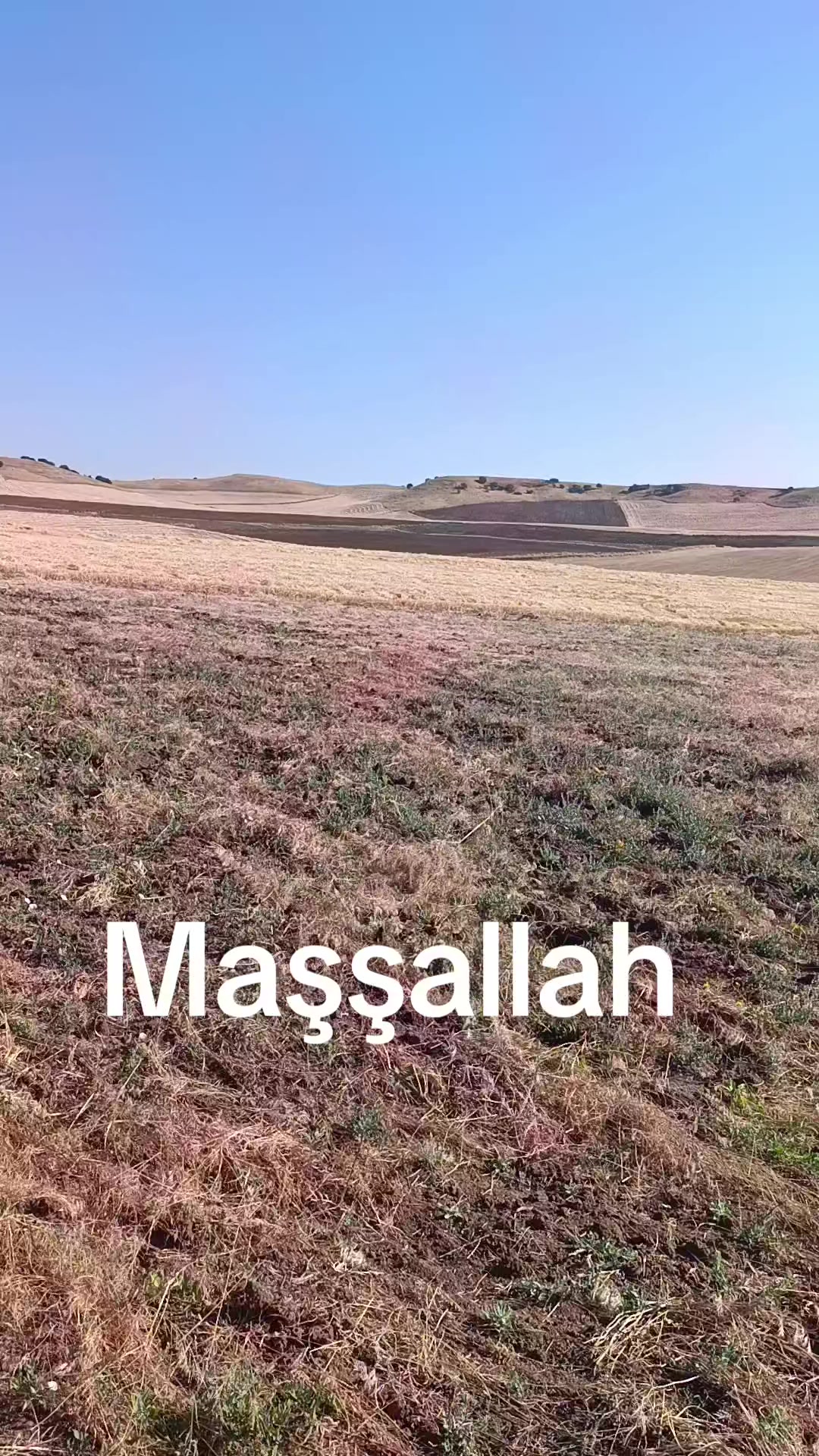@Hasan_Hüseyin_korkmazz7171