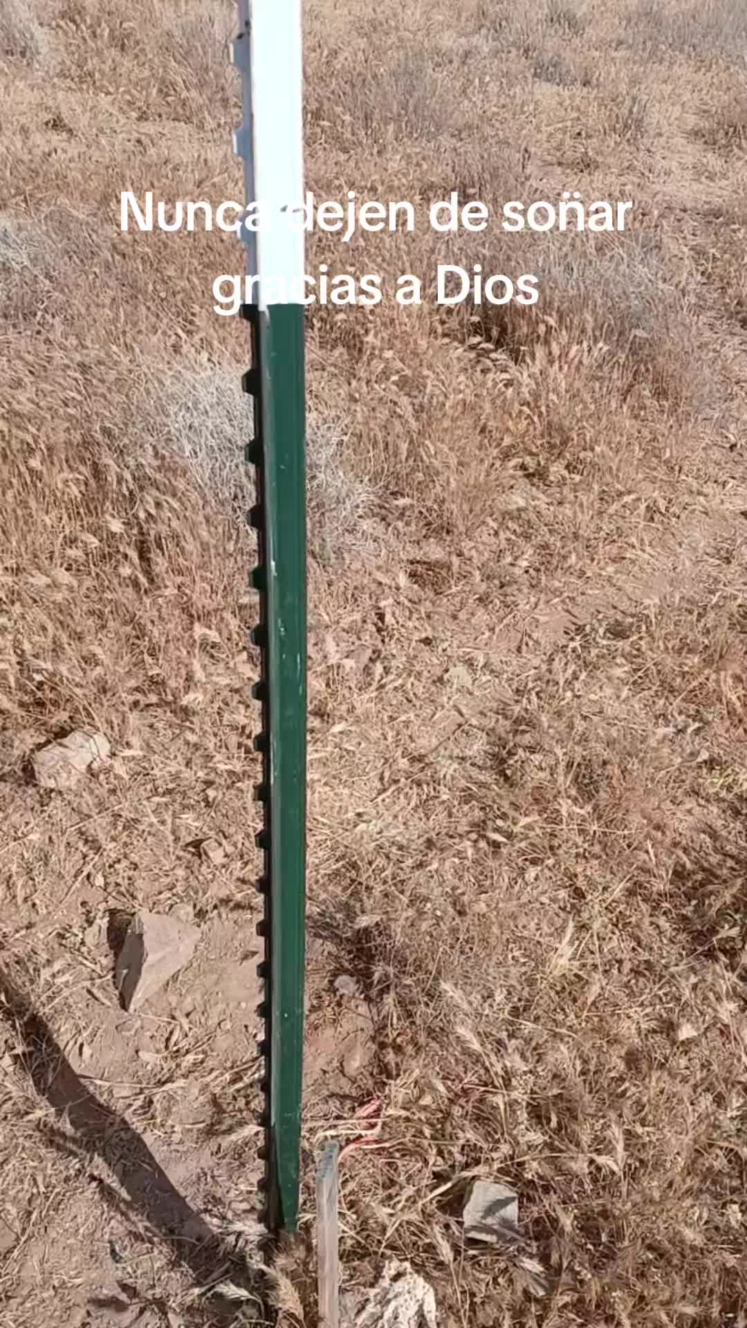 @Jesus Barnett