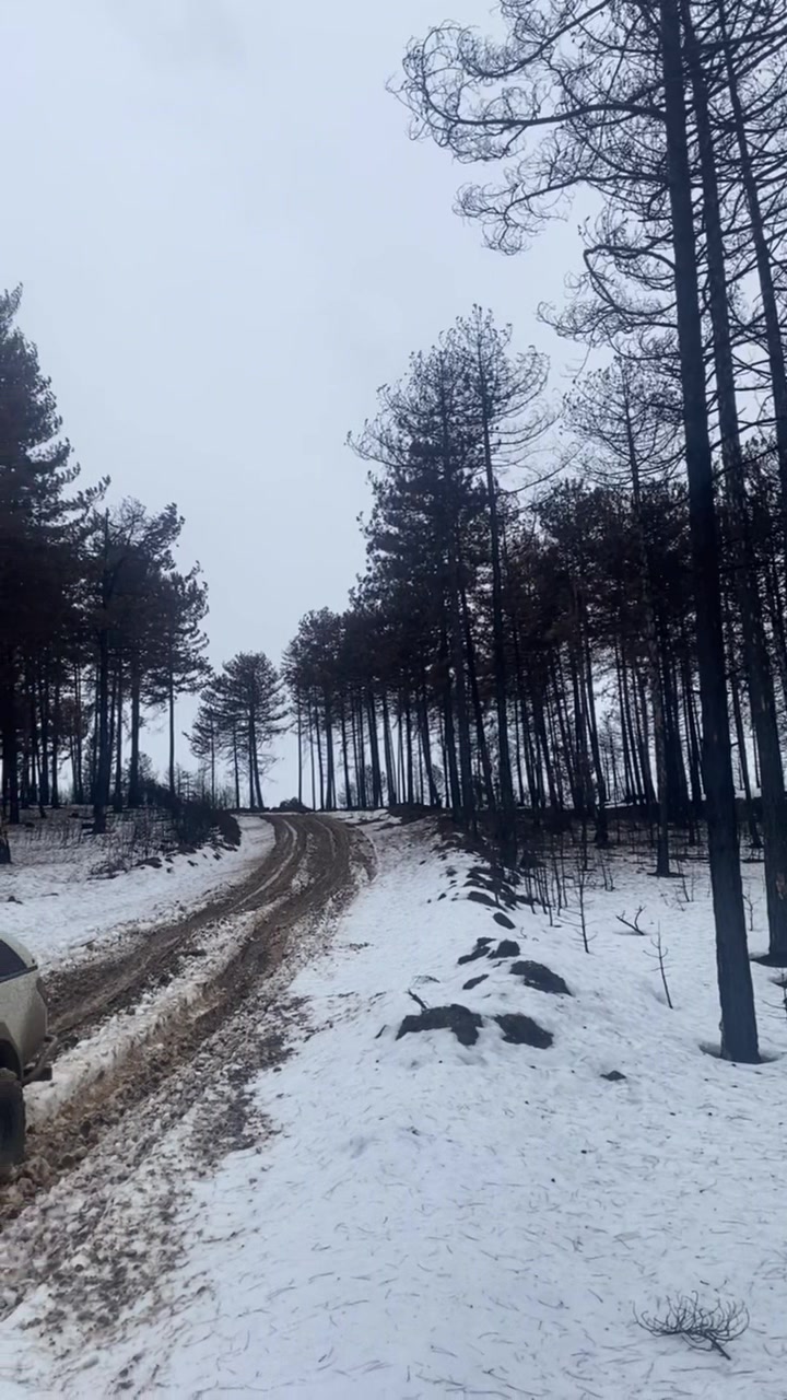 @burak.kf