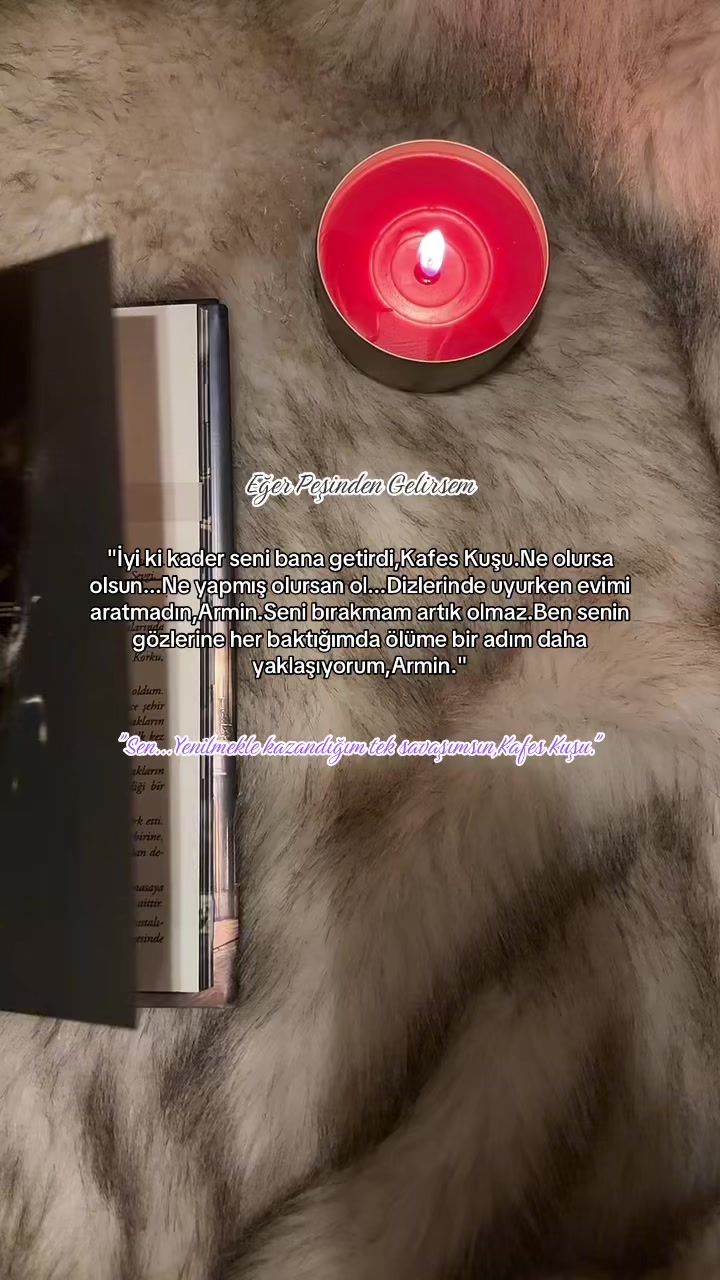 @zerenwme