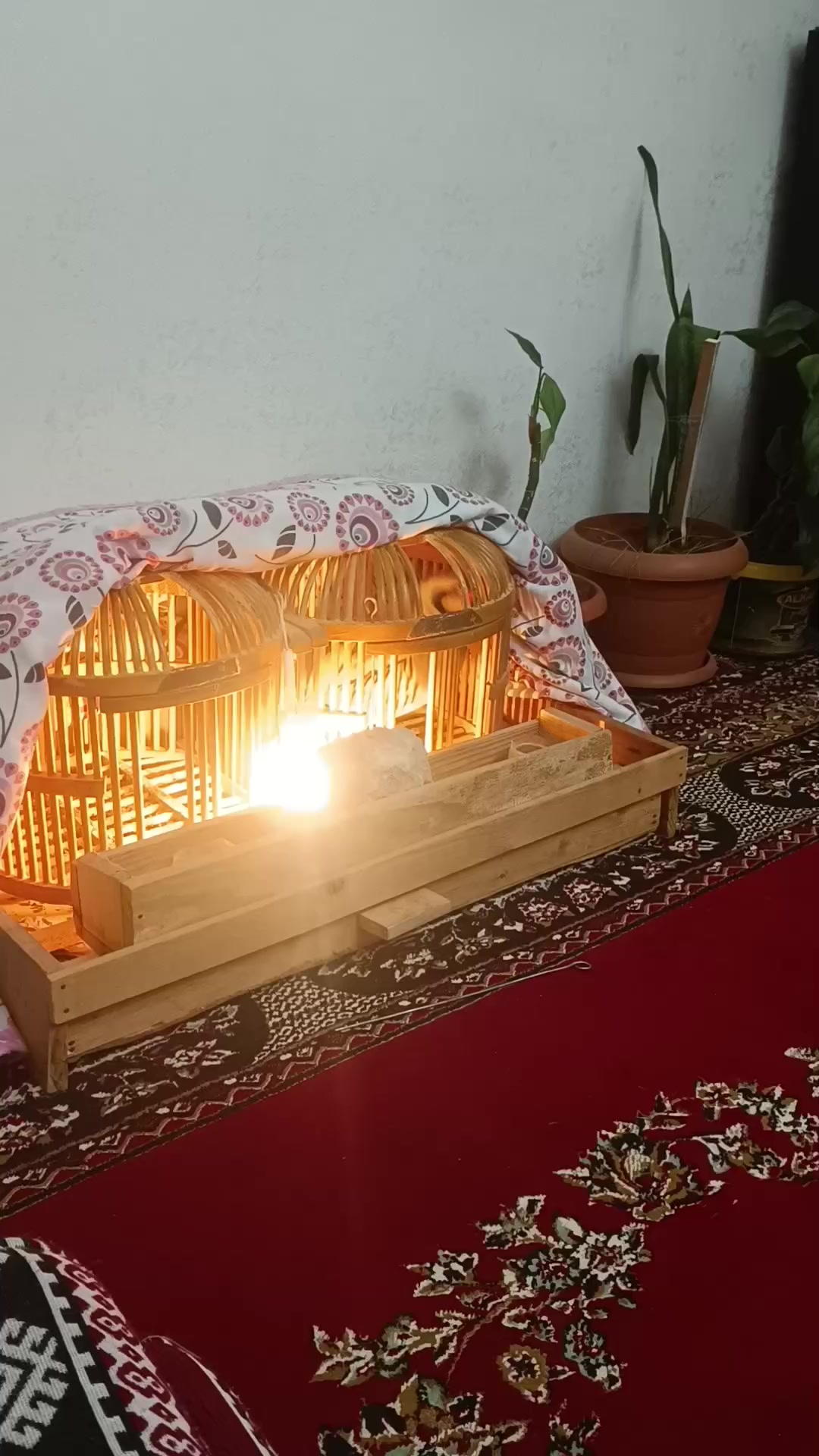 @Murat &ccedil;okan