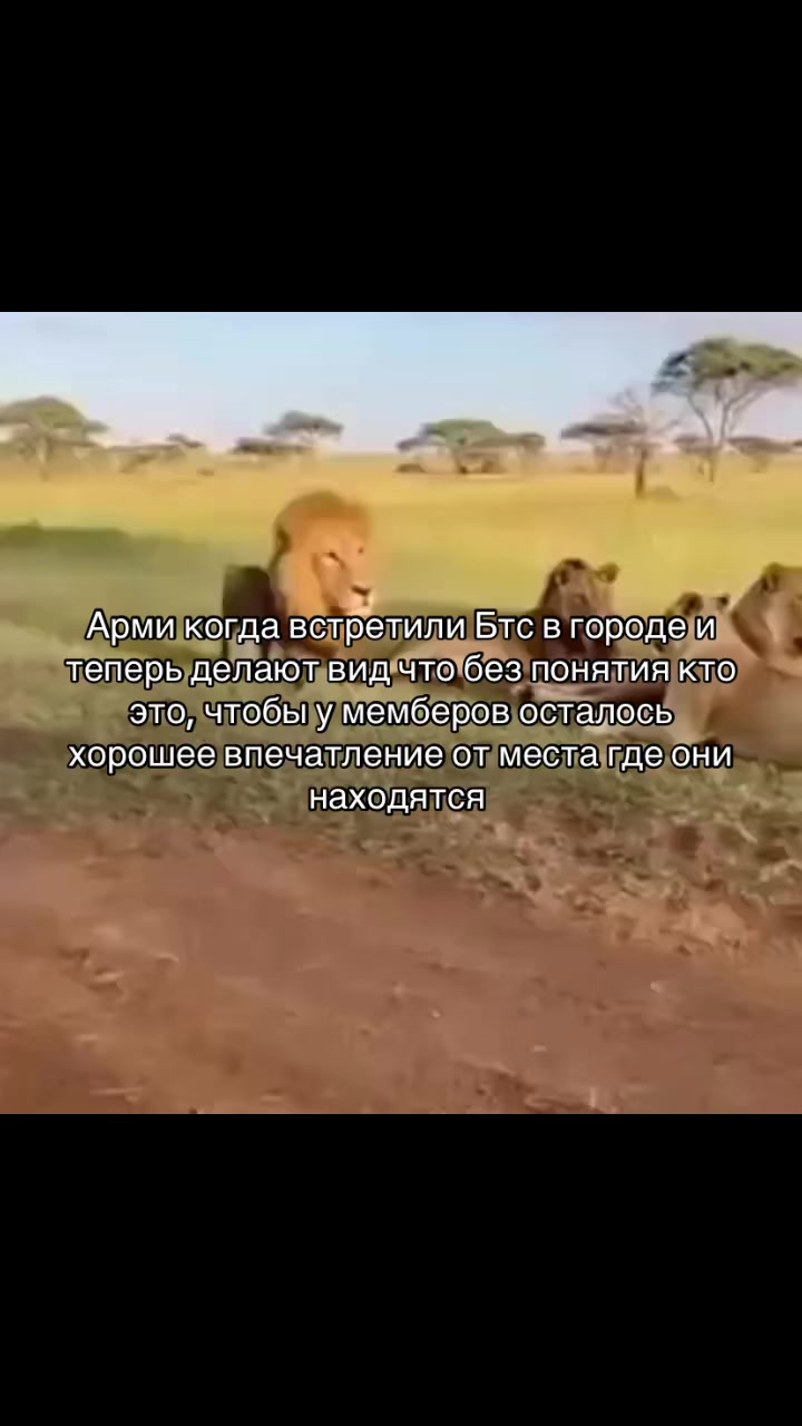 @Сабина⁷