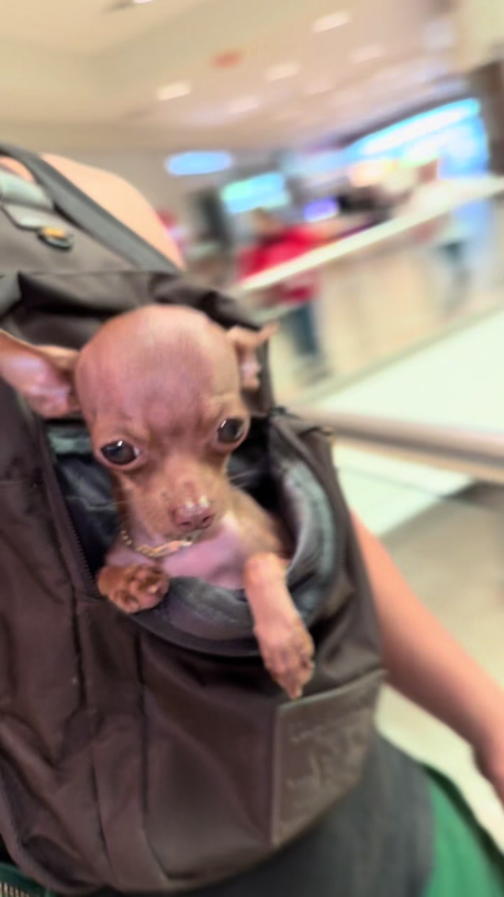 @mini.mew.offical