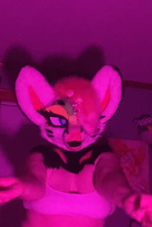 @Liger~Liger🐾🍉->FSC 26!!!